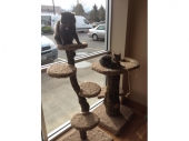 cattree2