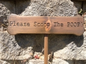 scoopsign2